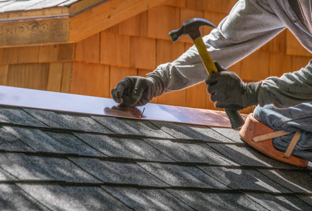 Best Roof Moss and Algae Removal  in Ragland, AL