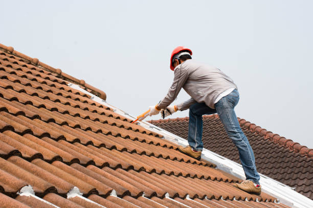 Best Wood Shake Roofing  in Ragland, AL