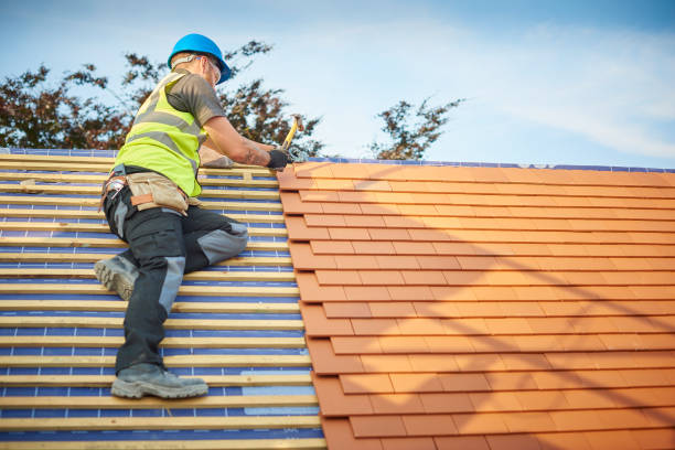 Best Storm Damage Roof Repair  in Ragland, AL