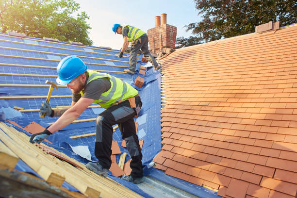 Best Metal Roofing Installation  in Ragland, AL